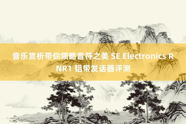 音乐赏析带你领略音符之美 SE Electronics RNR1 铝带发话器评测