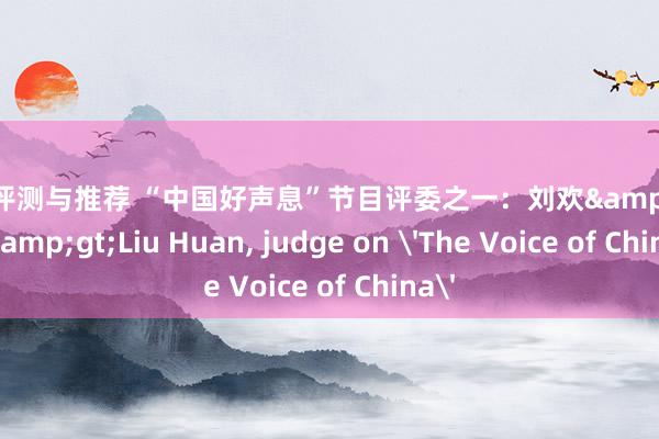 游戏评测与推荐 “中国好声息”节目评委之一：刘欢&lt;br/&gt;Liu Huan, judge on 'The Voice of China'